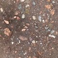 Soil Stoned 030