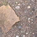 Soil Stoned 031