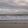 Sea Edge 013