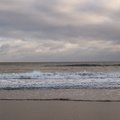 Sea Edge 014