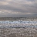 Sea Edge 005