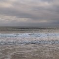 Sea Edge 006