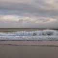 Sea Edge 009