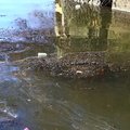 Debris Water 007