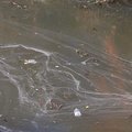 Debris Water 009