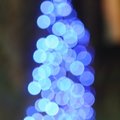 Bokeh 049