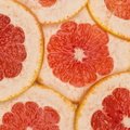 Food 004
