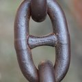 Decorative 024