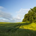 Agro Field 037