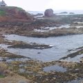 Panorama Horizontal 051