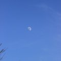 Assets Sky 015