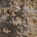 Buildings Facade 046