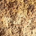 Buildings Facade 043