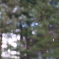 Bokeh 076