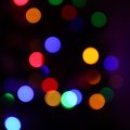 Bokeh 095