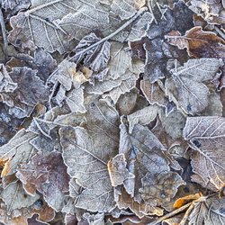 Ground Frozen