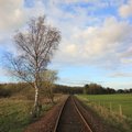 Railway Tracks 005
