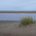 Sea Dunes 004