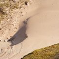 Sea Dunes 005