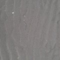 Sea Sand 026