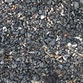 Sea Pebble 044