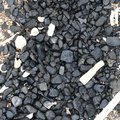 Sea Pebble 046