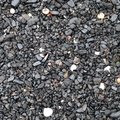 Sea Pebble 048
