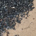 Sea Pebble 042