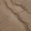 Sea Sand 043