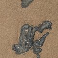 Sea Sand 045