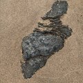 Sea Sand 046