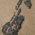 Sea Sand 047
