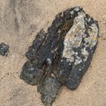 Sea Sand 048