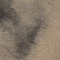 Sea Sand 049