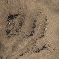 Sea Sand 050