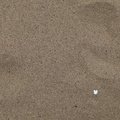 Sea Sand 027