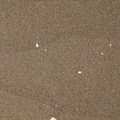 Sea Sand 028