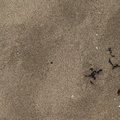 Sea Sand 030
