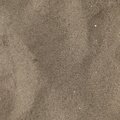 Sea Sand 031