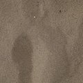 Sea Sand 032