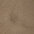 Sea Sand 035