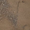 Sea Sand 038