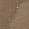 Sea Sand 039