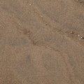 Sea Sand 040