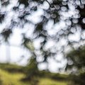 Bokeh 101