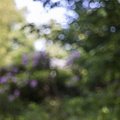 Bokeh 102