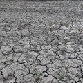Soil Cracked 022