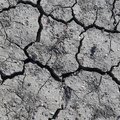 Soil Cracked 021