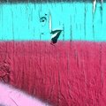 Paint 063