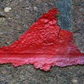 Paint 004